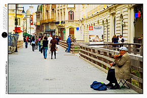 KERUCOV .ro - Fotografie si Jurnale de Calatorie - Expozitie fotografii Orasul.ro: Livada de Fotografii