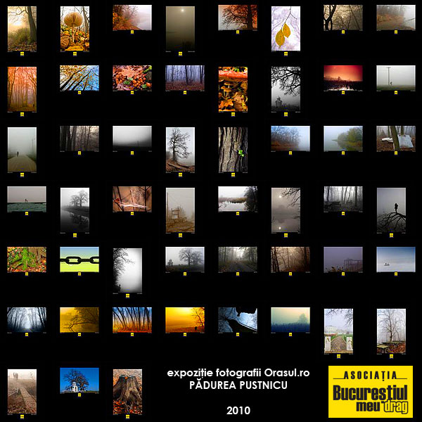 KERUCOV .ro - Fotografie si Jurnale de Calatorie - Expozitie fotografii Orasul.ro: Padurea Pustnicu