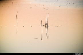 KERUCOV .ro - Fotografie si Jurnale de Calatorie - In Delta Dunarii - 1 - Tulcea si Lacul Somova de Andrei Vocurek