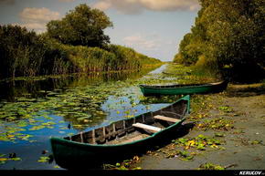 KERUCOV .ro - Fotografie si Jurnale de Calatorie - In Delta Dunarii - 4 - Satul Letea si Padurea Letea de Andrei Vocurek