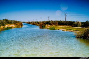 KERUCOV .ro - Fotografie si Jurnale de Calatorie - In Delta Dunarii - 5 - Cu barca pe Canalul Barbosu spre Golful Musura de Andrei Vocurek