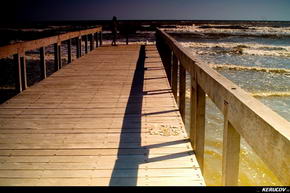 KERUCOV .ro - Fotografie si Jurnale de Calatorie - In Delta Dunarii - 5 - Cu barca pe Canalul Barbosu spre Golful Musura de Andrei Vocurek