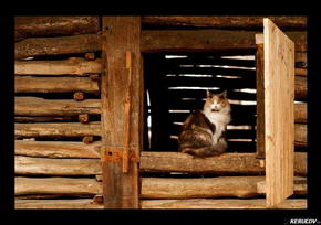 KERUCOV .ro - Fotografie si Jurnale de Calatorie - Din sat in sat, din loc in loc - expozitie de fotografie