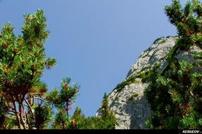 KERUCOV .ro - Fotografie si Jurnale de Calatorie - In Masivul Piatra Craiului 2: Creasta sudica - Plaiul Foii de Andrei Vocurek