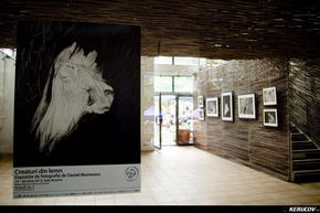 KERUCOV .ro - Fotografie si Jurnale de Calatorie - Creaturi din lemn, expozitie de fotografie de Daniel Munteanu