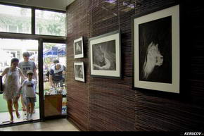 KERUCOV .ro - Fotografie si Jurnale de Calatorie - Creaturi din lemn, expozitie de fotografie de Daniel Munteanu