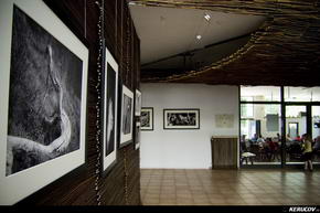 KERUCOV .ro - Fotografie si Jurnale de Calatorie - Creaturi din lemn, expozitie de fotografie de Daniel Munteanu