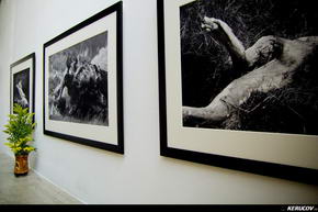 KERUCOV .ro - Fotografie si Jurnale de Calatorie - Creaturi din lemn, expozitie de fotografie de Daniel Munteanu