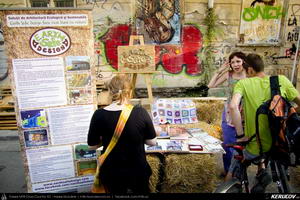 KERUCOV .ro - Fotografie si Jurnale de Calatorie - Street Delivery #8 Bucuresti 2013
