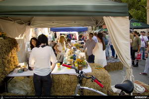 KERUCOV .ro - Fotografie si Jurnale de Calatorie - Street Delivery #8 Bucuresti 2013