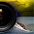 Sirnea si Caraiman, print-uri in concurs foto Epson . Sirnea And Caraiman, Printed At Epson Photo Contest