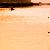 Fotografia: Lacul Somova KERUCOV .ro © 1997 - 2025 || Andrei Vocurek