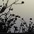 Fotografia Flacari, album foto Lumea culori - florilor, Hersonissos, Grecia, Insula Creta / Greece, Crete, aparat Konica Minolta Dynax 5D  KERUCOV .ro © 1997 - 2022 || Andrei Vocurek