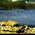 Fotografia Nisipurile de aur, album foto Experiente de fotografie, Vai Beach, Grecia, Insula Creta / Greece, Crete, aparat Konica Minolta Dynax 5D  KERUCOV .ro © 1997 - 2022 || Andrei Vocurek