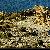 Fotografia Perpendicular, album foto Printre oameni ca noi, Vai Beach, Grecia, Insula Creta / Greece, Crete, aparat Konica Minolta Dynax 5D  KERUCOV .ro © 1997 - 2022 || Andrei Vocurek