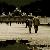 Fotografia Schonbrunn Gloriette, album foto Plimbari si vederi din Viena, Viena / Vienna / Wien, Austria / Osterreich, aparat Konica Minolta Dynax 5D  KERUCOV .ro © 1997 - 2022 || Andrei Vocurek