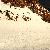 Fotografia Urmele pasilor, album foto Calatorului ii sade bine cu drumul, Muntii Bucegi, Romania / Roumanie, aparat Konica Minolta Dynax 5D  KERUCOV .ro © 1997 - 2022 || Andrei Vocurek
