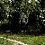 Fotografia Verde in ulei pe panza, album foto Orasul Bucuresti - Parcuri si gradini, Bucuresti / Bucharest, Romania / Roumanie, aparat Konica Minolta Dynax 5D  KERUCOV .ro © 1997 - 2022 || Andrei Vocurek