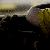 Fotografia Vise in galben, album foto Calatorului ii sade bine cu drumul, Ploiesti, Romania / Roumanie, aparat Konica Minolta Dynax 5D  KERUCOV .ro © 1997 - 2022 || Andrei Vocurek