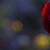 Fotografia Dimineata rece, album foto Lumea culori - florilor, Darmanesti, Romania / Roumanie, aparat Konica Minolta Dynax 5D  KERUCOV .ro © 1997 - 2022 || Andrei Vocurek