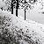 Fotografia Zi de iarna, album foto Orasul Bucuresti - Parcuri si gradini, Bucuresti / Bucharest, Romania / Roumanie, aparat Pentax Optio RS 1500  KERUCOV .ro © 1997 - 2022 || Andrei Vocurek