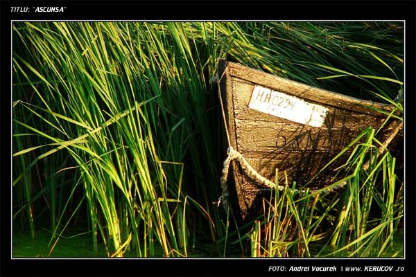 Fotografia Ascunsa / , album Ultima Delta Dunarii / Last the Danube Delta, Sfantu Gheorghe, Romania / Roumanie, KERUCOV .ro © 1997 - 2025 || Andrei Vocurek