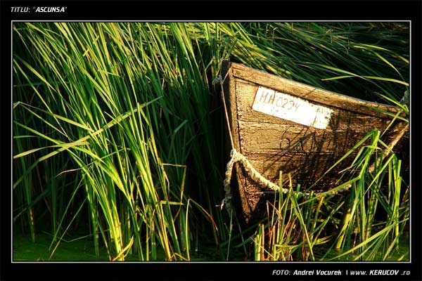 Fotografia: Ascunsa / , KERUCOV .ro © 1997 - 2024 || Andrei Vocurek