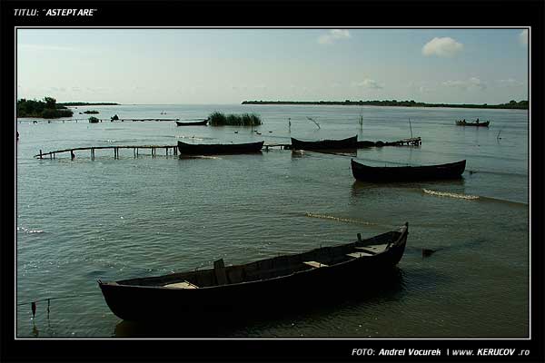 Fotografia Asteptare / , album Ultima Delta Dunarii / Last the Danube Delta, Sfantu Gheorghe, Romania / Roumanie, KERUCOV .ro © 1997 - 2025 || Andrei Vocurek