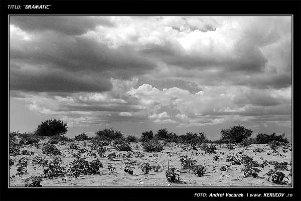 Fotografia: Dramatic / , KERUCOV .ro © 1997 - 2025 || Andrei Vocurek