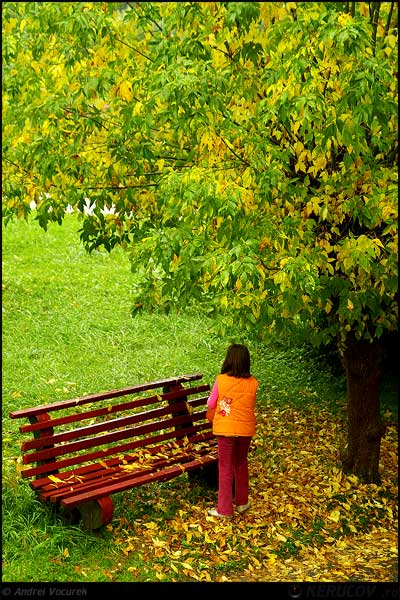 Fotografia Prin toamna / Through the Autumn, album Orasul oarecare - Puncte peste asfalt / Some City - Spots on the Asphalt, Baile Olanesti, Romania / Roumanie, KERUCOV .ro © 1997 - 2025 || Andrei Vocurek