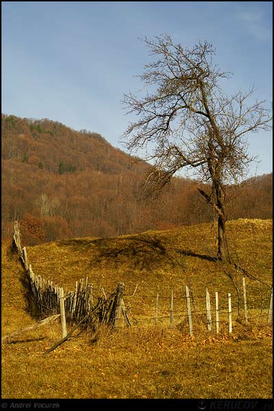 Fotografia: Colt de plai / Land's Corner, KERUCOV .ro © 1997 - 2025 || Andrei Vocurek