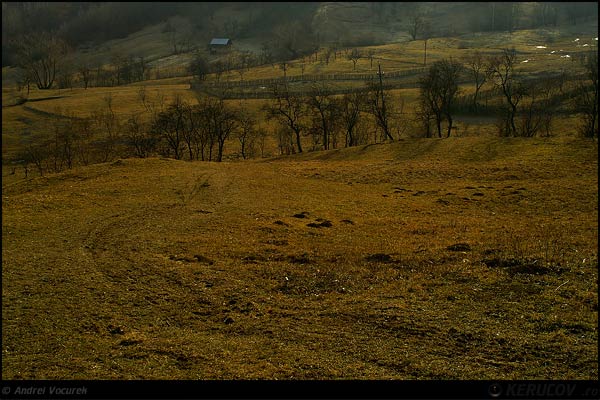Fotografia Drumul spre casa / The Road Home, album Viata simpla de la tara / Simple Life in the Countryside, Baile Olanesti, Romania / Roumanie, KERUCOV .ro © 1997 - 2022 || Andrei Vocurek