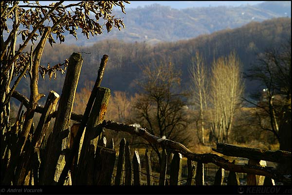 Fotografia Taramul de dincolo / The Land Of Beyond, album Viata simpla de la tara / Simple Life in the Countryside, Baile Olanesti, Romania / Roumanie, KERUCOV .ro © 1997 - 2025 || Andrei Vocurek