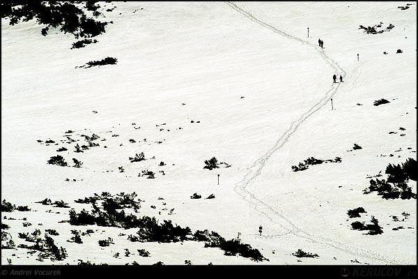 Fotografia: Urme prin zapada / Traces Through The Snow, KERUCOV .ro © 1997 - 2025 || Andrei Vocurek