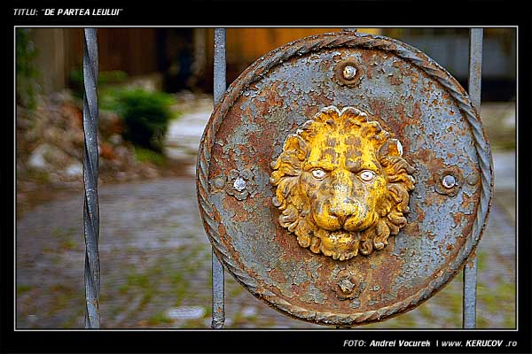 Fotografia De partea leului / , album Orasul oarecare - Puncte peste asfalt / Some City - Spots on the Asphalt, Bucuresti / Bucharest, Romania / Roumanie, KERUCOV .ro © 1997 - 2025 || Andrei Vocurek