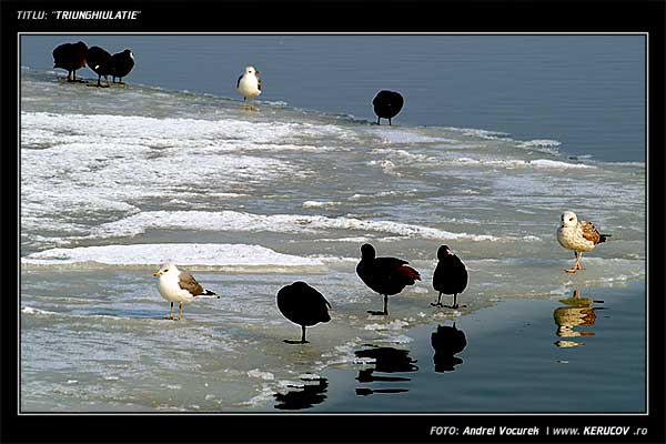 Fotografia: Triunghiulatie / , KERUCOV .ro © 1997 - 2025 || Andrei Vocurek