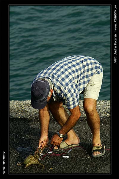 Fotografia Octopus / , album Printre oameni ca noi / Among People Like Us, Heraklion / Iraklion, Grecia, Insula Creta / Greece, Crete, KERUCOV .ro © 1997 - 2025 || Andrei Vocurek
