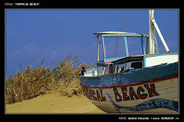 Fotografia: Tropical Beach / , KERUCOV .ro © 1997 - 2025 || Andrei Vocurek
