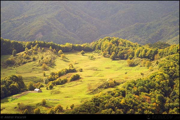 Fotografia: Palma de pamant / Plot Of Land, KERUCOV .ro © 1997 - 2025 || Andrei Vocurek