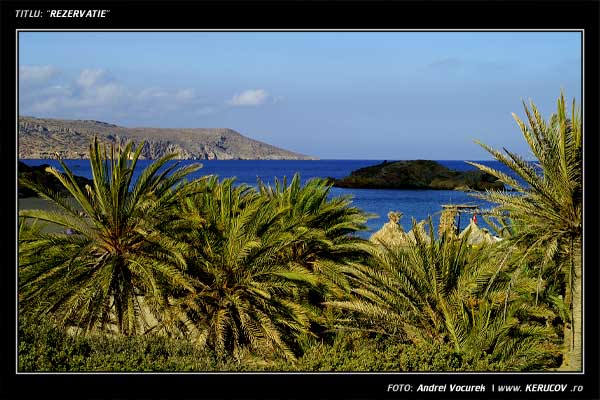 Fotografia Rezervatie / , album Peisaj urban si suburban / Urban and Suburban Landscape, Vai Beach, Grecia, Insula Creta / Greece, Crete, KERUCOV .ro © 1997 - 2024 || Andrei Vocurek