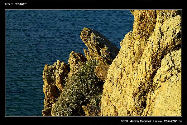 Fotografia Stanci / , album Pasul peste munti / Step Over Mountains, Vai Beach, Grecia, Insula Creta / Greece, Crete, KERUCOV .ro © 1997 - 2022 || Andrei Vocurek