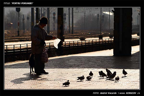 Fotografia: Pentru porumbei / , KERUCOV .ro © 1997 - 2025 || Andrei Vocurek