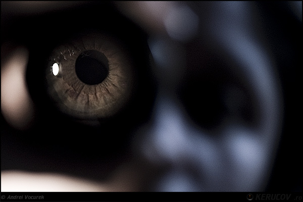 Fotografia Te urmaresc / Watching You, album Experiente de fotografie / Photographic Experiments, Bucuresti / Bucharest, Romania / Roumanie, KERUCOV .ro © 1997 - 2025 || Andrei Vocurek