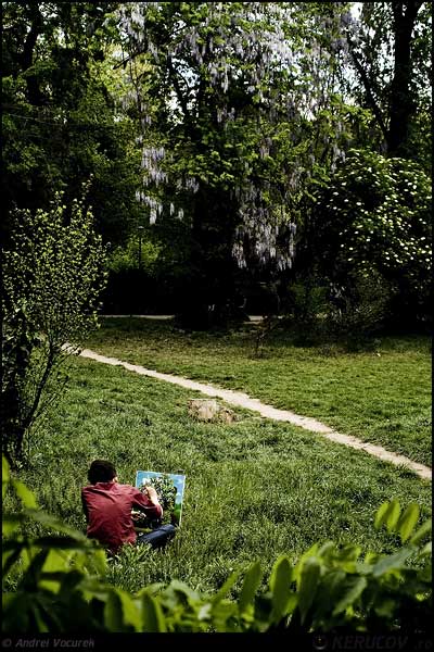 Fotografia Verde in ulei pe panza / Green, Oil On Canvas, album Orasul Bucuresti - Parcuri si gradini / Bucharest City - Parks and Gardens, Bucuresti / Bucharest, Romania / Roumanie, KERUCOV .ro © 1997 - 2025 || Andrei Vocurek