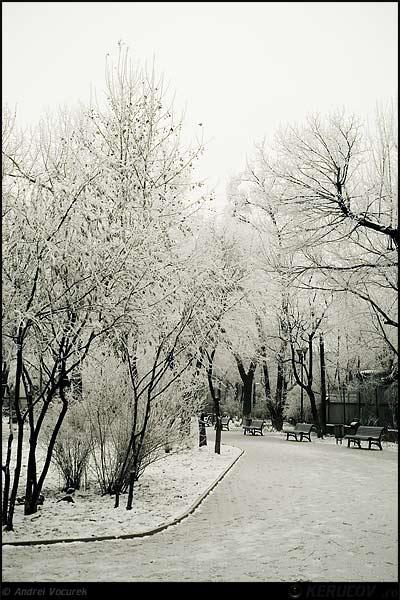 Fotografia: Aleea alba / The White Alley, KERUCOV .ro © 1997 - 2025 || Andrei Vocurek