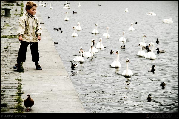 Fotografia: Joc naiv / Gullible Game, KERUCOV .ro © 1997 - 2022 || Andrei Vocurek