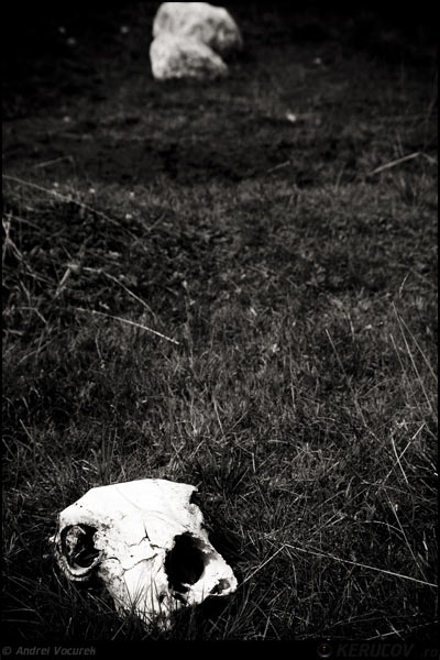 Fotografia: Despre existenta / About Existence, KERUCOV .ro © 1997 - 2025 || Andrei Vocurek