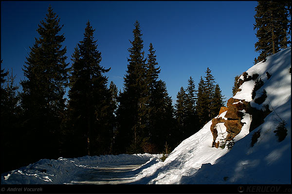 Fotografia Brazi si stanci / Firs and Rocks, album Pasul peste munti / Step Over Mountains, Paltinis / Hohe Rinne, Romania / Roumanie, KERUCOV .ro © 1997 - 2022 || Andrei Vocurek
