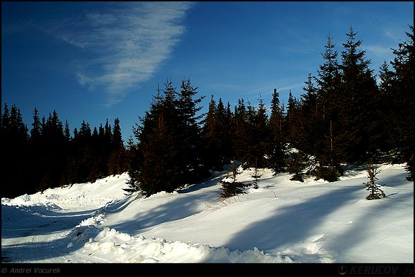 Fotografia Vartej / Whirl, album Pasul peste munti / Step Over Mountains, Paltinis / Hohe Rinne, Romania / Roumanie, KERUCOV .ro © 1997 - 2024 || Andrei Vocurek