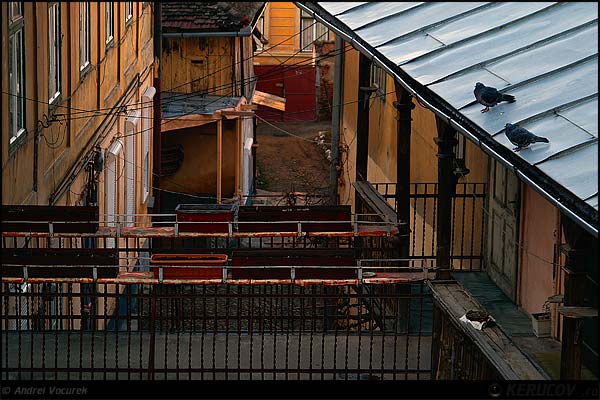 Fotografia Curte pentru doi / Yard For Two, album Lumea necuvantatoarelor / The World of Silent Creatures, Sibiu / Hermannstadt, Romania / Roumanie, KERUCOV .ro © 1997 - 2025 || Andrei Vocurek